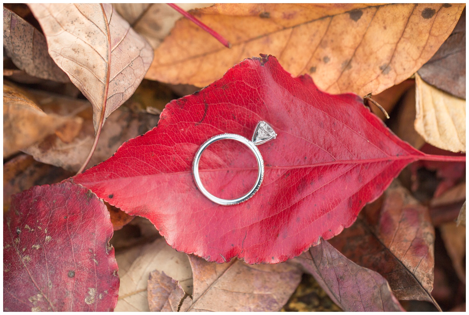 Fall Engagement Pictures - Engagement Ring Autumn Leaves