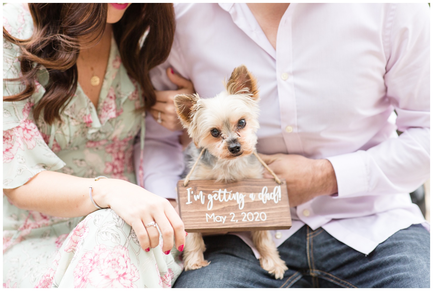 Dog at Engagement Session - Engagement Session with Yorkie