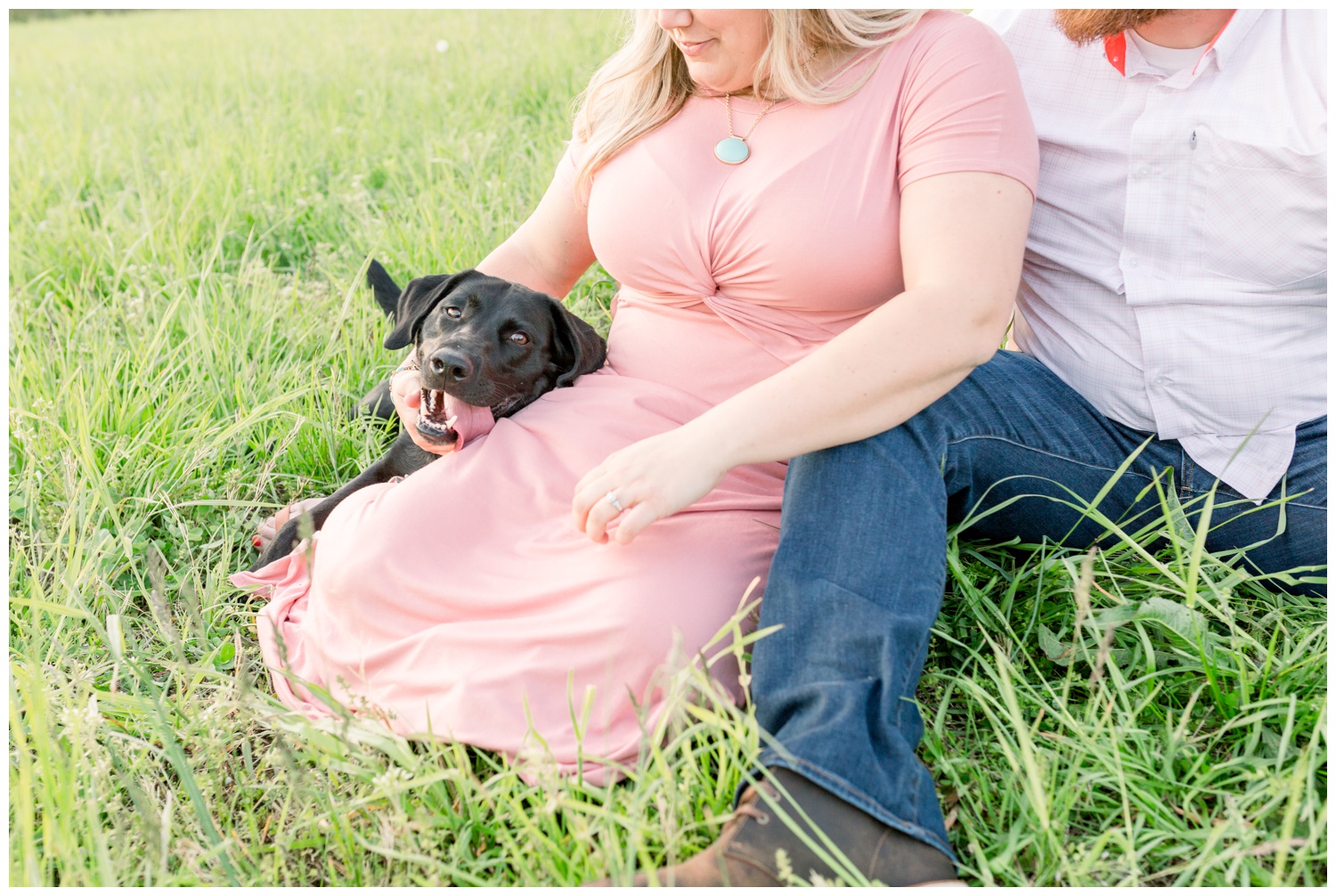 Happy Labrador - Dog in Engagement Pictures