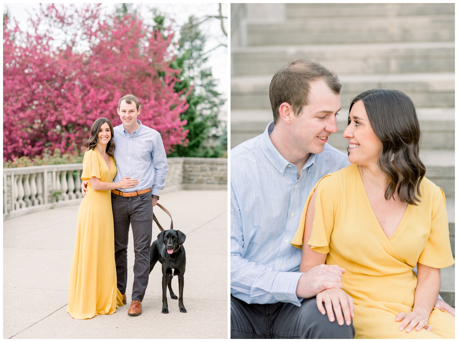 Ault Park Engagement Pictures with Dogs