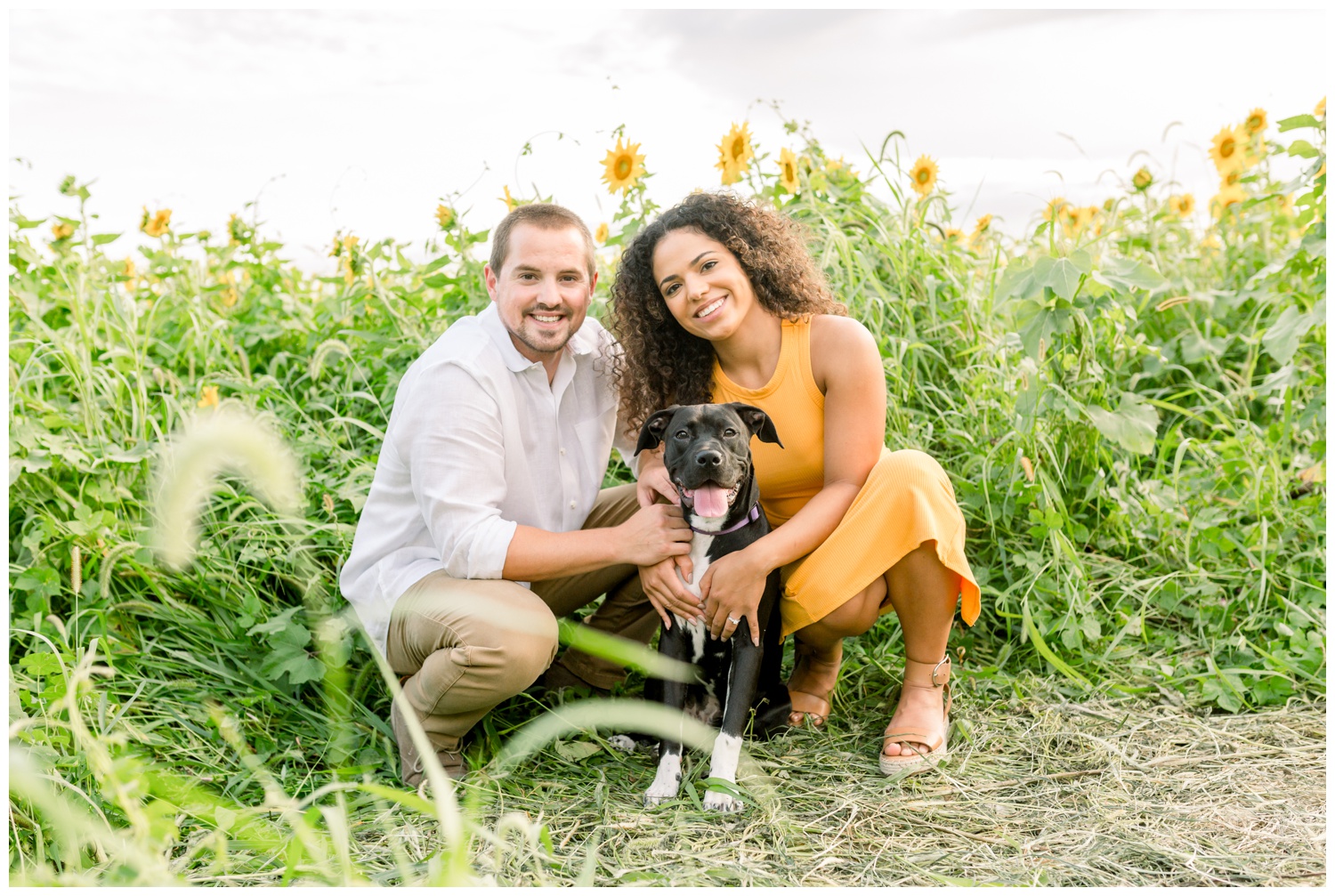 Engagement Photos with Dog in Sunflower Field at Cottell Park