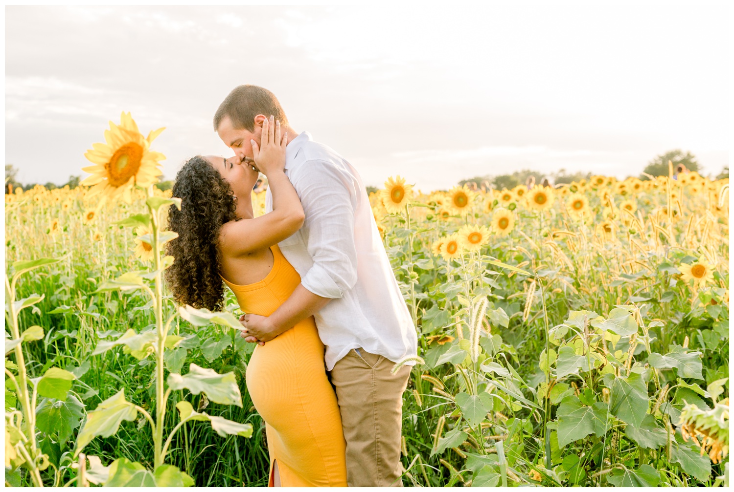 Engaged Couple Kissing at Cottell Park Sunflower Field