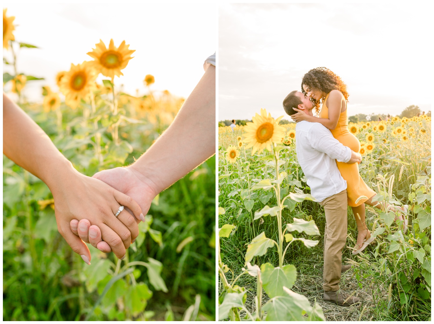 Sunflower Field Engagement Session at Cottell Park